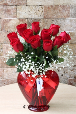 11 Red Roses in a  Red Vase